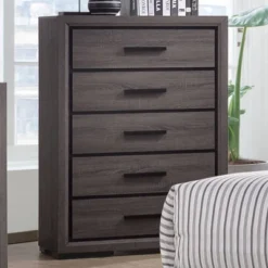 Flemming 5 Drawer Chest Gray - MiBasics